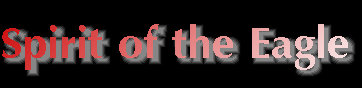 spritoftheeagle2001007.jpg